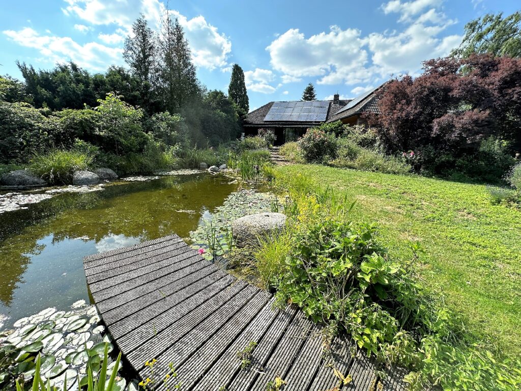 Rückansicht mit Schwimmteich